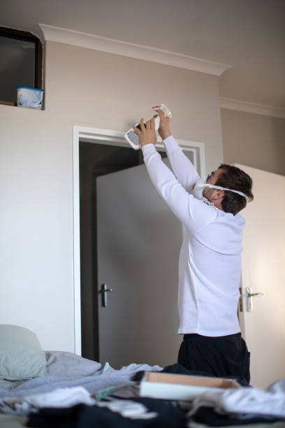 Mold Remediation for Vacation Homes in West Sharyland, TX