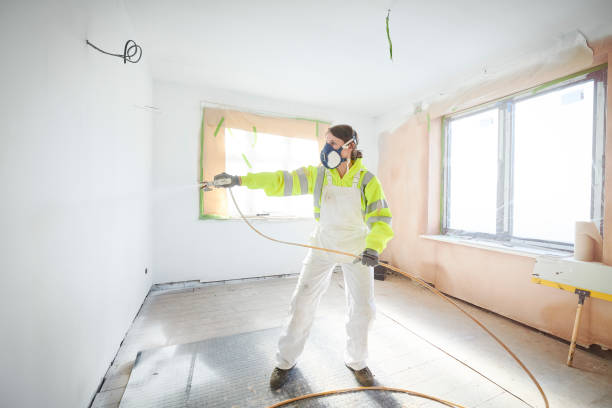 Best Emergency Mold Remediation  in West Sharyland, TX