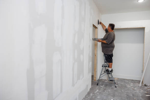 Mold Remediation for Rental Properties in West Sharyland, TX