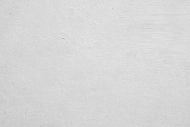 Best Attic Mold Removal  in West Sharyland, TX