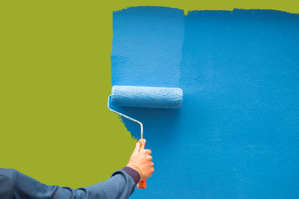 Best Post-Construction Mold Inspection  in West Sharyland, TX